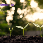 Buat Rencana Pengembangan Diri Agar Masa Depan Anda Cerah