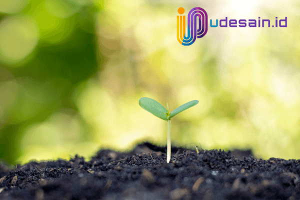 growth mindset vs fixed mindset